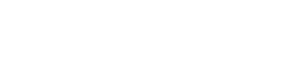 Dudek-Logo